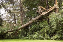 Summer Storm Damage
