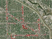 Color-coded aerial images of WPB’s Priority One trees